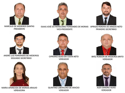 SITE VEREADORES 2.png